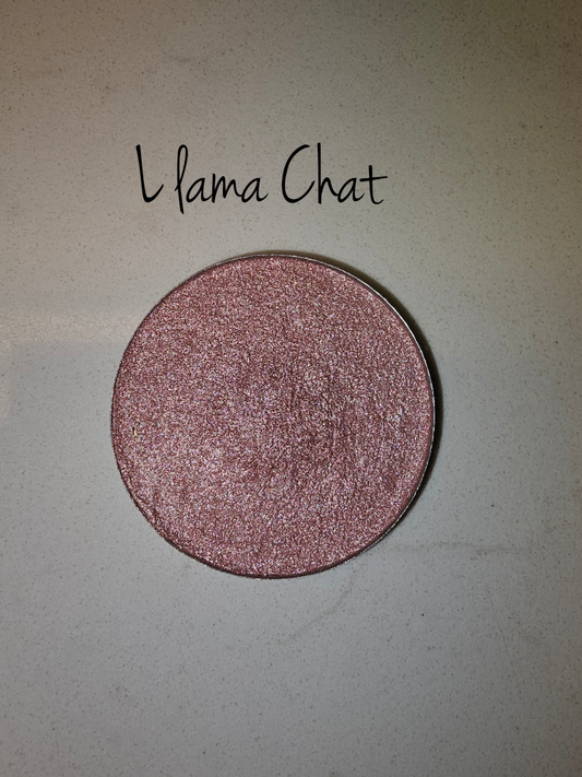 Llama Chat
