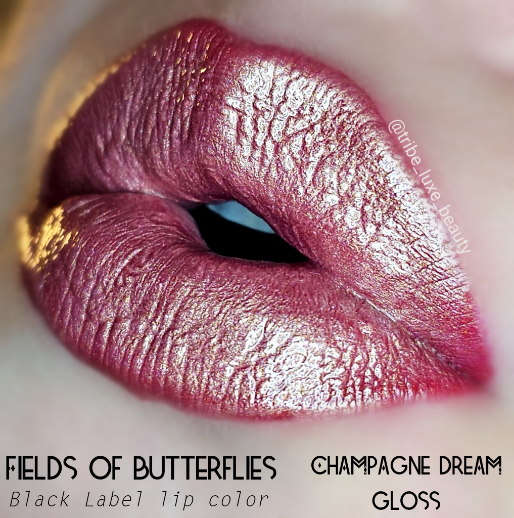 Champagne Dream gloss