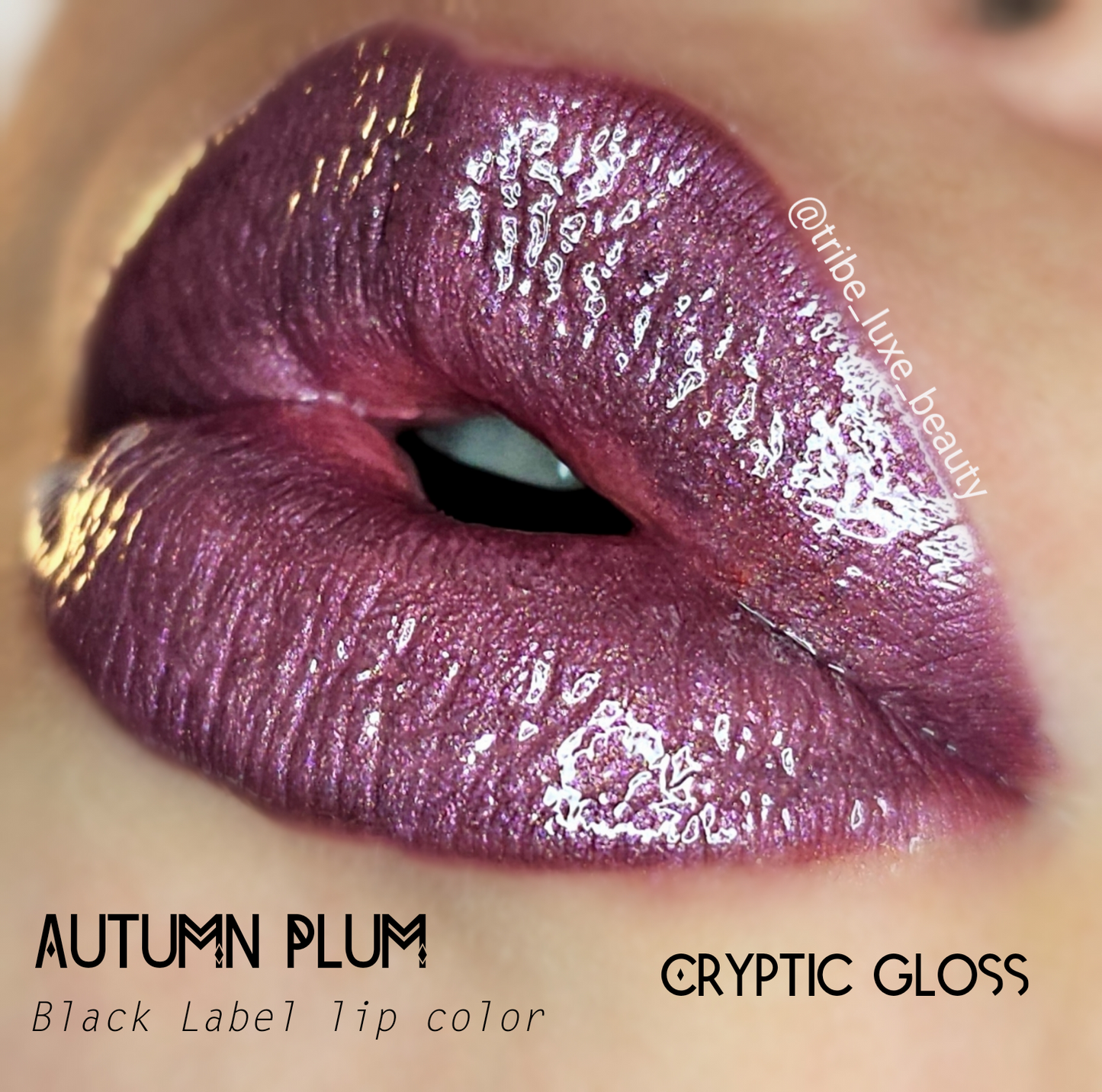 Autumn Plum