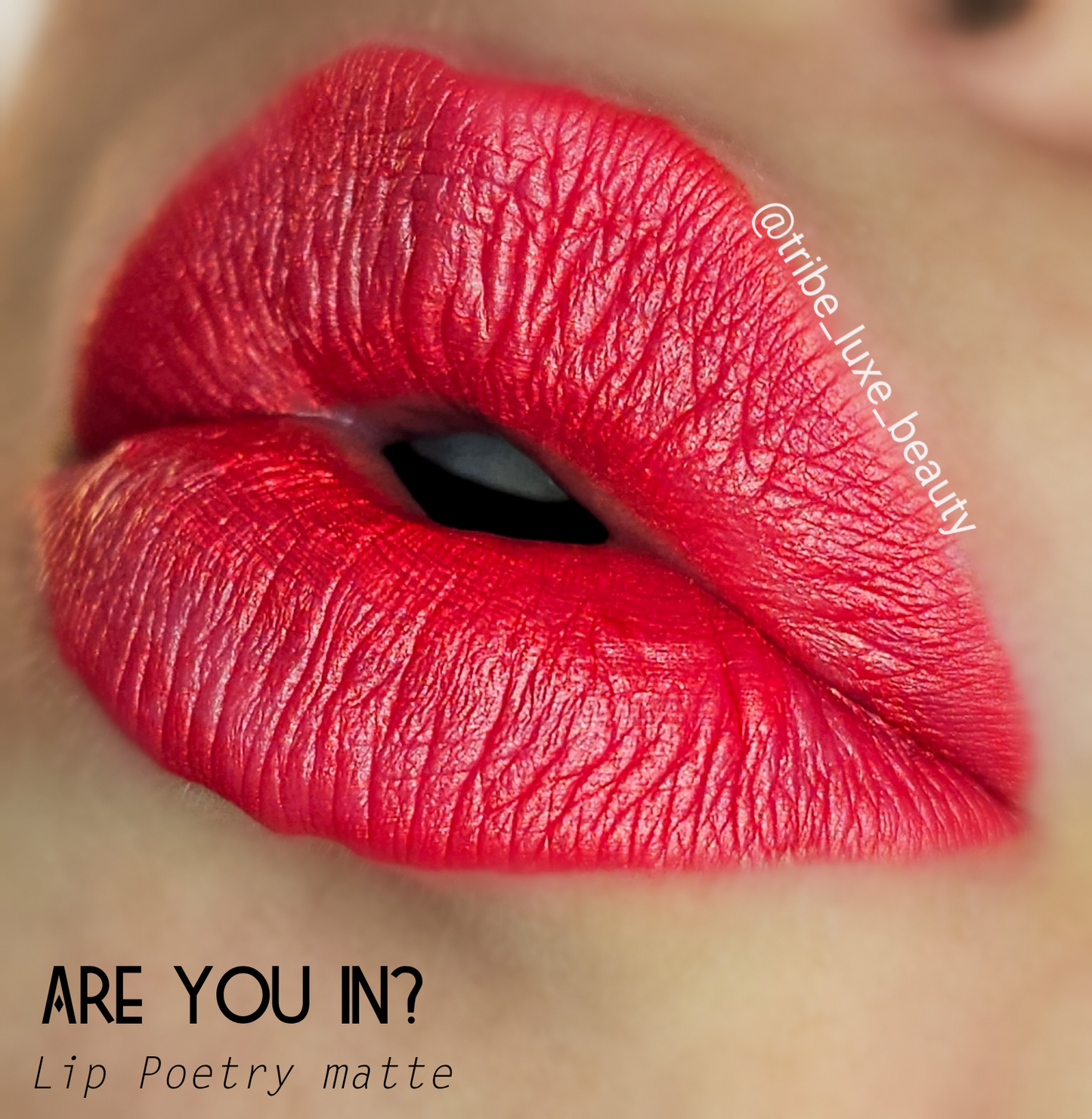Are you in?