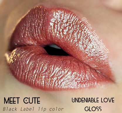 Undeniable Love
