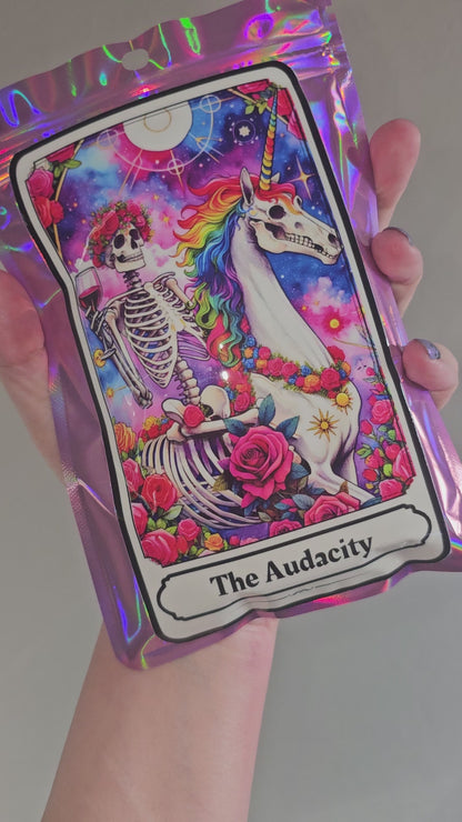 The Audacity bundle