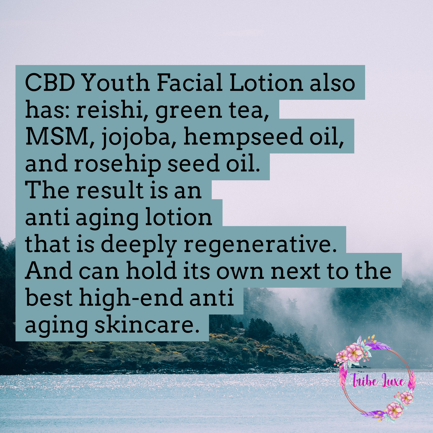 CBD Youth facial lotion